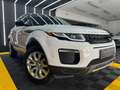 Land Rover Range Rover Evoque Pure 2,0 TD4 Aut. Weiß - thumbnail 5