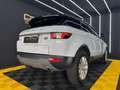 Land Rover Range Rover Evoque Pure 2,0 TD4 Aut. Weiß - thumbnail 8