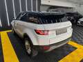 Land Rover Range Rover Evoque Pure 2,0 TD4 Aut. Weiß - thumbnail 12