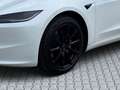 Tesla Model 3 Basis RWD**1.BESITZ** Weiß - thumbnail 8