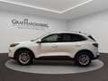 Ford Kuga Plug-In Hybrid Titanium X Blanc - thumbnail 2