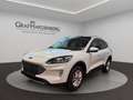 Ford Kuga Plug-In Hybrid Titanium X Blanc - thumbnail 1