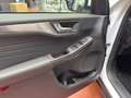 Ford Kuga Plug-In Hybrid Titanium X Blanc - thumbnail 6