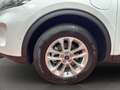 Ford Kuga Plug-In Hybrid Titanium X Blanc - thumbnail 5