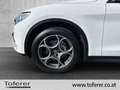 Alfa Romeo Stelvio Super 2,2 ATX AWD Weiß - thumbnail 16