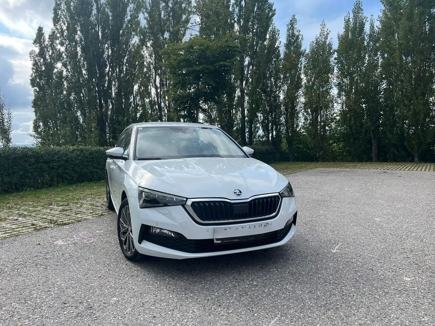 Skoda Scala Scala 1,0 TSI Ambition Ambition Weiß - 2