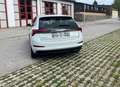 Skoda Scala Scala 1,0 TSI Ambition Ambition Weiß - thumbnail 5