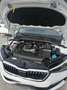 Skoda Scala Scala 1,0 TSI Ambition Ambition Weiß - thumbnail 15