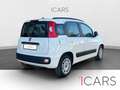 Fiat Panda 1.2 Lounge 51kW (69CV) Blanc - thumbnail 7