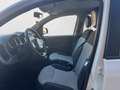 Fiat Panda 1.2 Lounge 51kW (69CV) Blanc - thumbnail 8
