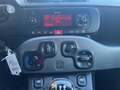 Fiat Panda 1.2 Lounge 51kW (69CV) Blanc - thumbnail 14
