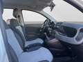 Fiat Panda 1.2 Lounge 51kW (69CV) Blanc - thumbnail 19