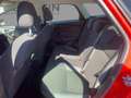 Ford Focus Turnier 1.0 EcoBoost Ambiente SportS. Rood - thumbnail 8