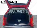 Ford Focus Turnier 1.0 EcoBoost Ambiente SportS. Rood - thumbnail 6