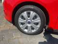 Ford Focus Turnier 1.0 EcoBoost Ambiente SportS. Rood - thumbnail 12