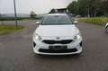 Kia Ceed SW / cee'd SW cee'd Sportswagon ceed SW 1,0 T-GDI GPF ISG Titan Weiß - thumbnail 1