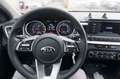 Kia Ceed SW / cee'd SW cee'd Sportswagon ceed SW 1,0 T-GDI GPF ISG Titan Weiß - thumbnail 11