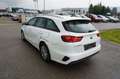 Kia Ceed SW / cee'd SW cee'd Sportswagon ceed SW 1,0 T-GDI GPF ISG Titan Weiß - thumbnail 6