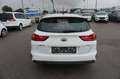 Kia Ceed SW / cee'd SW cee'd Sportswagon ceed SW 1,0 T-GDI GPF ISG Titan Weiß - thumbnail 5