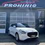 Suzuki Swift 1,2 Hybrid Shine Weiß - thumbnail 12