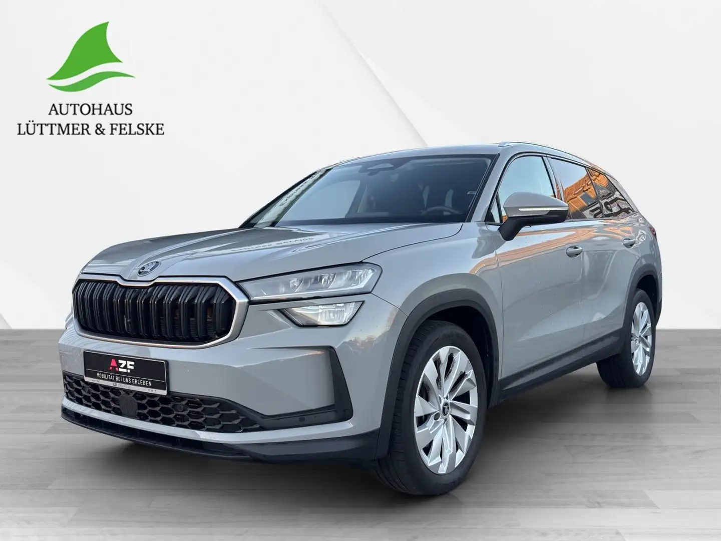 Skoda Kodiaq 2.0 TDI DSG Selection NAVI+ACC+LED+KAMERA Grau - 2