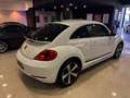 Volkswagen Beetle 1.4 TSI R-Line DSG 110kW Blanco - thumbnail 9