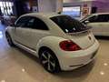 Volkswagen Beetle 1.4 TSI R-Line DSG 110kW Blanco - thumbnail 7