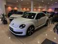 Volkswagen Beetle 1.4 TSI R-Line DSG 110kW Blanco - thumbnail 4