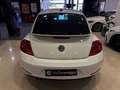 Volkswagen Beetle 1.4 TSI R-Line DSG 110kW Blanco - thumbnail 8