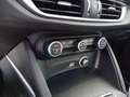 Alfa Romeo Stelvio 2.2 Turbodiesel 190 CV AT8 RWD Super Grau - thumbnail 16