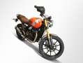 Triumph sofort verfügbar Oranje - thumbnail 8
