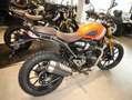 Triumph sofort verfügbar Oranje - thumbnail 4