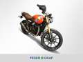 Triumph sofort verfügbar Oranje - thumbnail 1