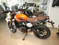 Triumph sofort verfügbar Oranje - thumbnail 3