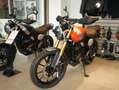 Triumph sofort verfügbar Oranje - thumbnail 2