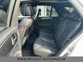 Mercedes-Benz GLE 500 *2.HAND*PANO*AHK*AMG-PAKET*ACC*4-MATIC* Weiß - thumbnail 15