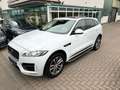 Jaguar F-Pace F-PACE R-Sport AWD*KAMERA*PANO*LEDER*NAVI Weiß - thumbnail 14