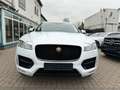 Jaguar F-Pace F-PACE R-Sport AWD*KAMERA*PANO*LEDER*NAVI Weiß - thumbnail 2
