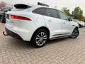 Jaguar F-Pace F-PACE R-Sport AWD*KAMERA*PANO*LEDER*NAVI Weiß - thumbnail 16