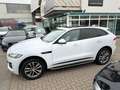 Jaguar F-Pace F-PACE R-Sport AWD*KAMERA*PANO*LEDER*NAVI Weiß - thumbnail 3