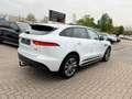 Jaguar F-Pace F-PACE R-Sport AWD*KAMERA*PANO*LEDER*NAVI Weiß - thumbnail 6