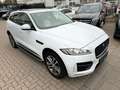 Jaguar F-Pace F-PACE R-Sport AWD*KAMERA*PANO*LEDER*NAVI Weiß - thumbnail 13