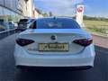 Alfa Romeo Giulia 2,2 160 Super Weiß - thumbnail 4