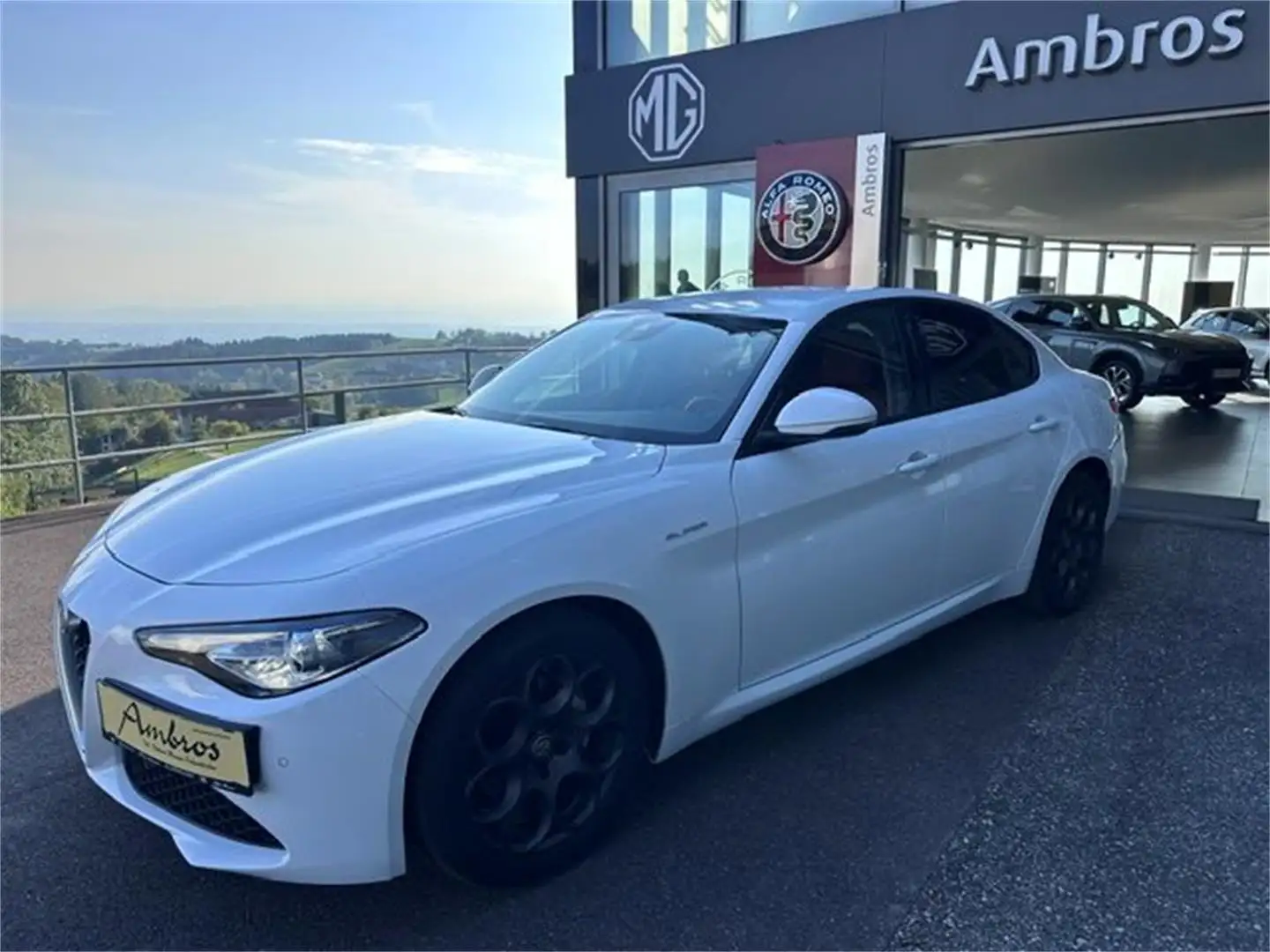 Alfa Romeo Giulia 2,2 160 Super Weiß - 1