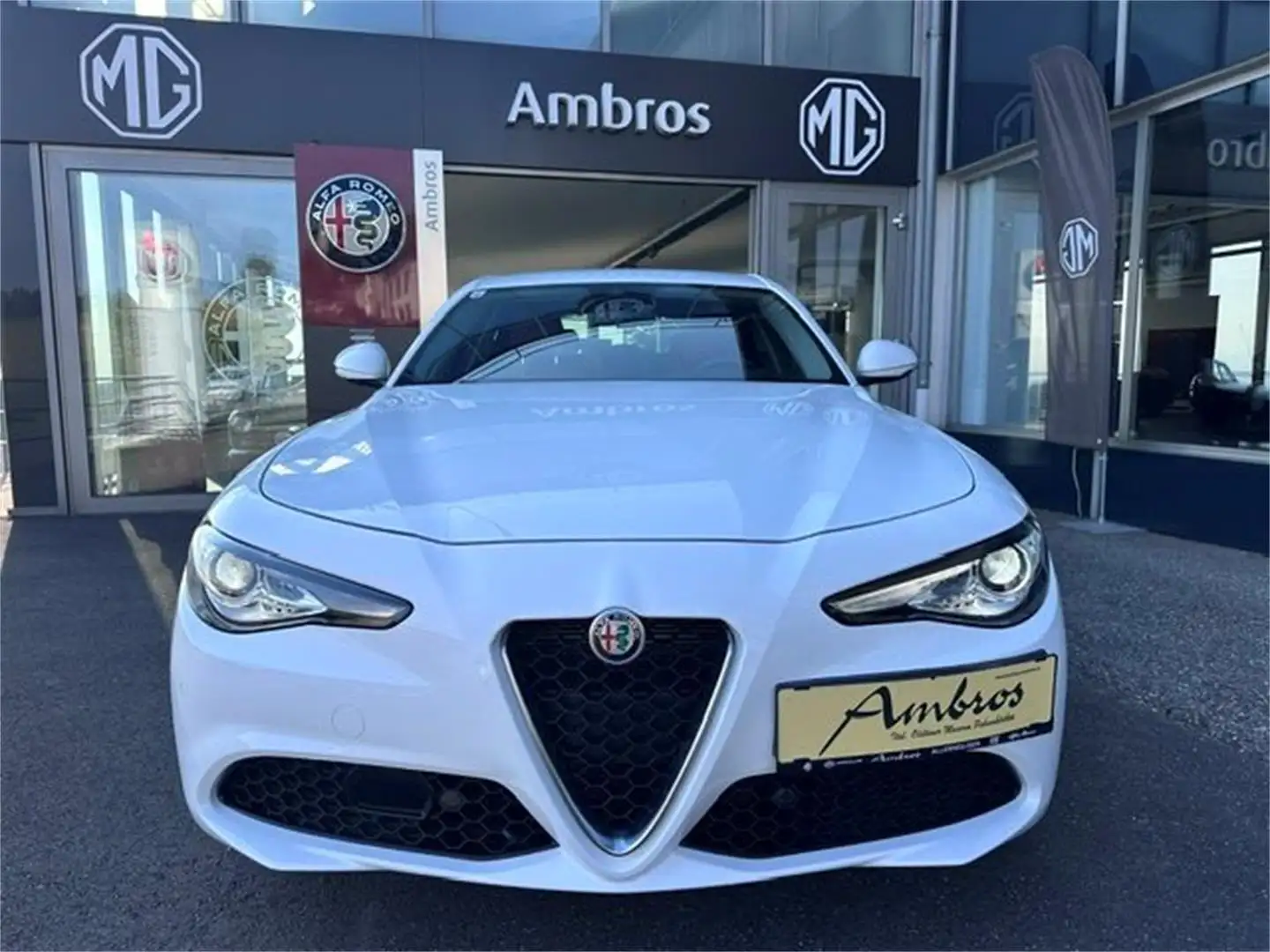 Alfa Romeo Giulia 2,2 160 Super Weiß - 2