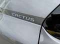 Citroen C4 Cactus PureTech 110 Manuell Shine Grau - thumbnail 7