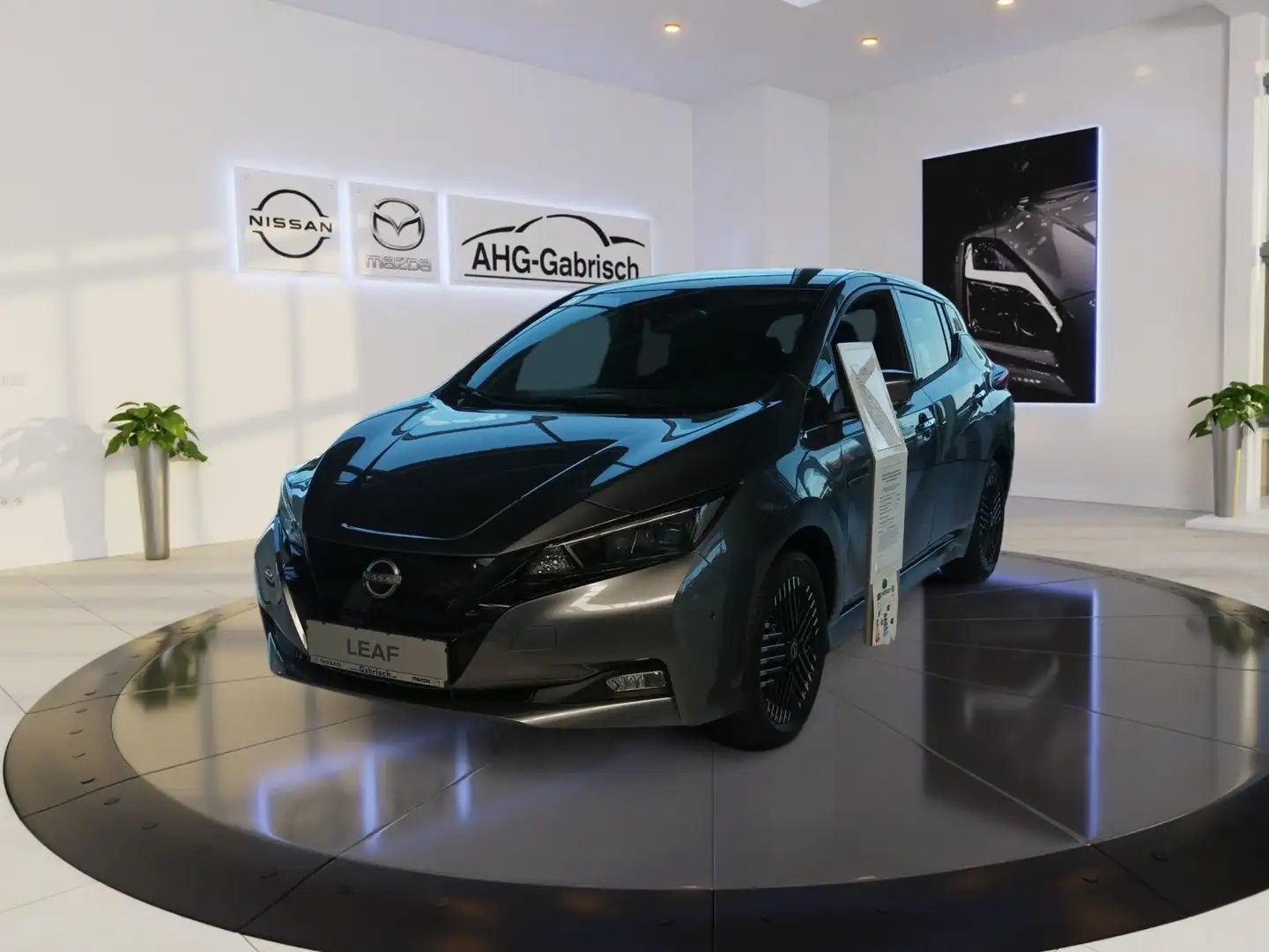 Nissan Leaf e+ Tekna, Winter-Paket Gris - 1