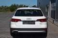 Audi A4 allroad quattro Neuer Motor bei 104000km!!! Wit - thumbnail 6