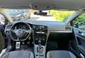 Volkswagen Golf 5p 1.6 tdi Executive 115cv Grigio - thumbnail 5
