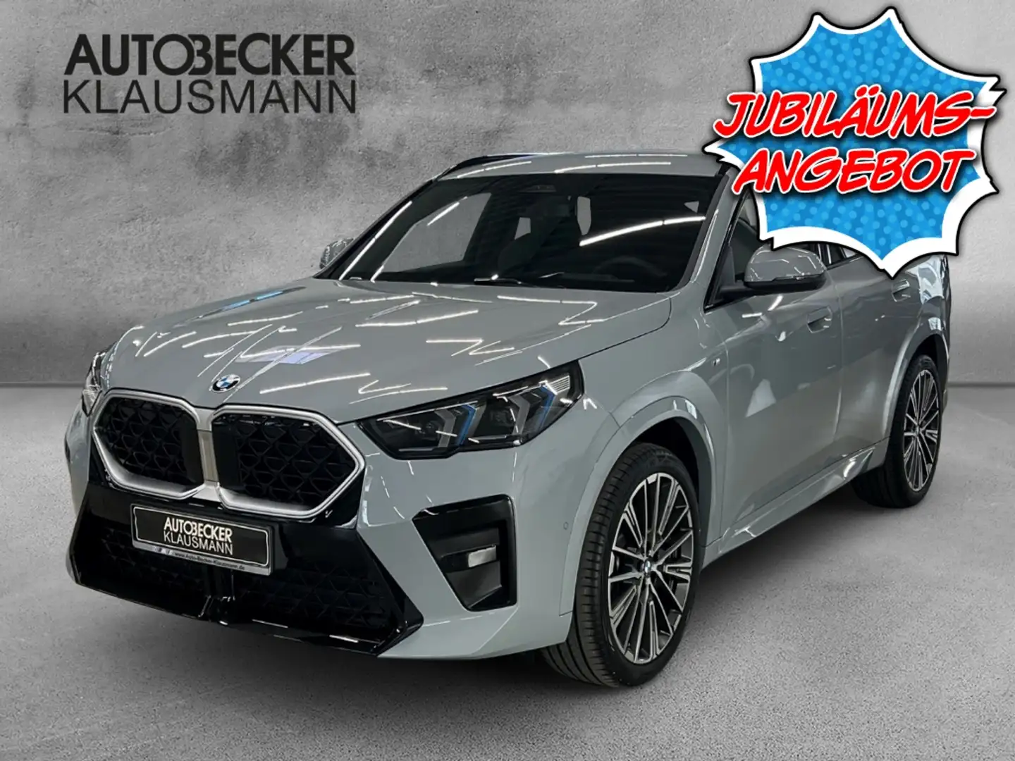 BMW X2 sDrive20i M Sport LMR 20'' Park-Assistent HUD AD N Gris - 1